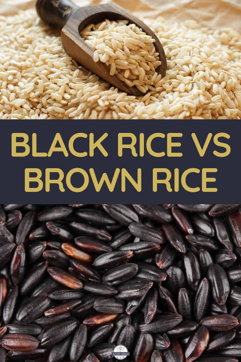 White Rice vs Wild Rice: Contrasting Grain Varieties