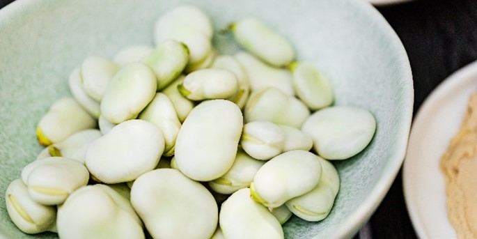 Lima Beans vs Fava Beans: Exploring Two Legume Varieties