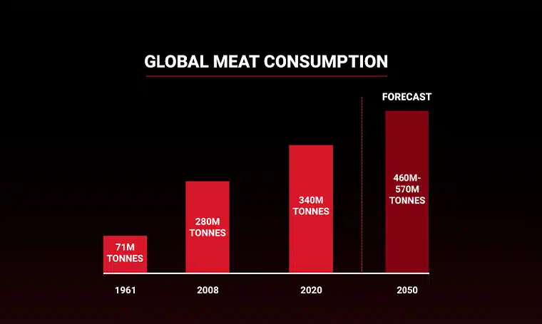 Chicken vs Lamb: Poultry vs Red Meat