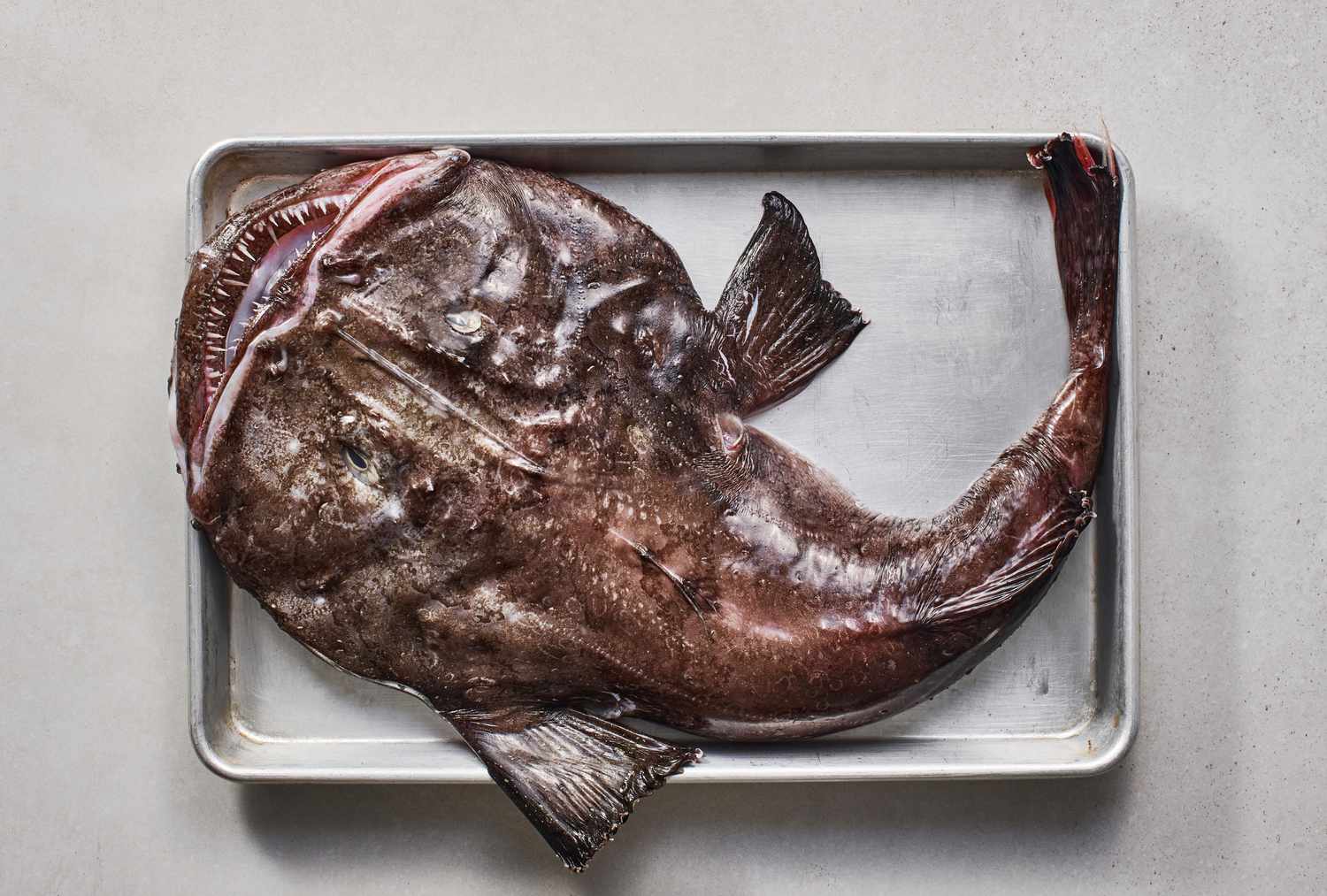 What Does Monkfish Taste Like: The Flavor Profile of Monkfish