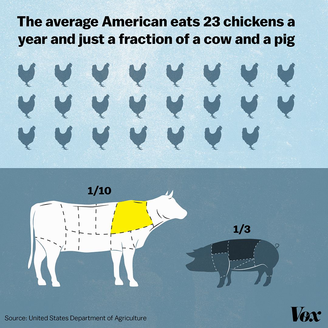 Chicken vs Lamb: Poultry vs Red Meat