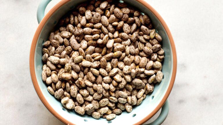 Pinto Bean vs Kidney Bean: Nutritional Benefits and Culinary Uses